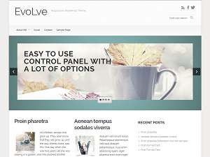 EvoLve Free WordPress Blog Theme