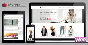 eCommerce WordPress Themes