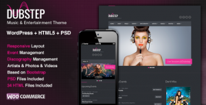 Music WordPress Themes