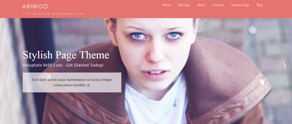 Free WordPress Themes January 2015
