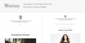 Post Format WordPress Themes