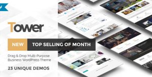 Professional WordPress Themes